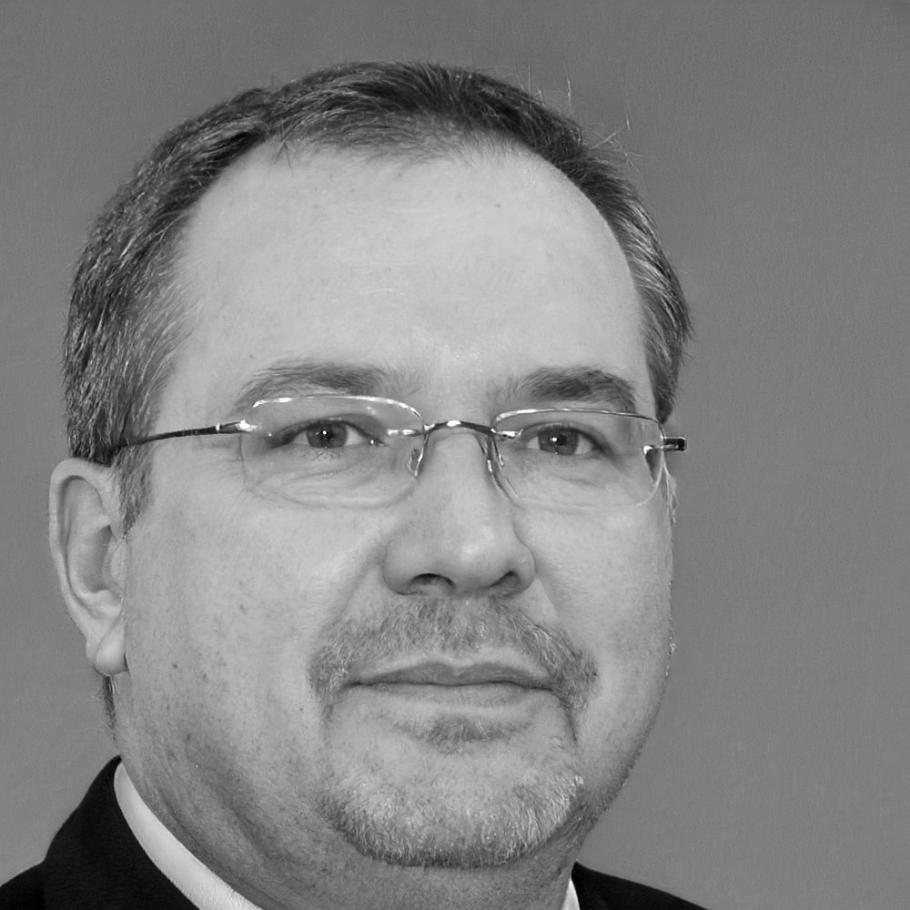 Portret analityka disawua